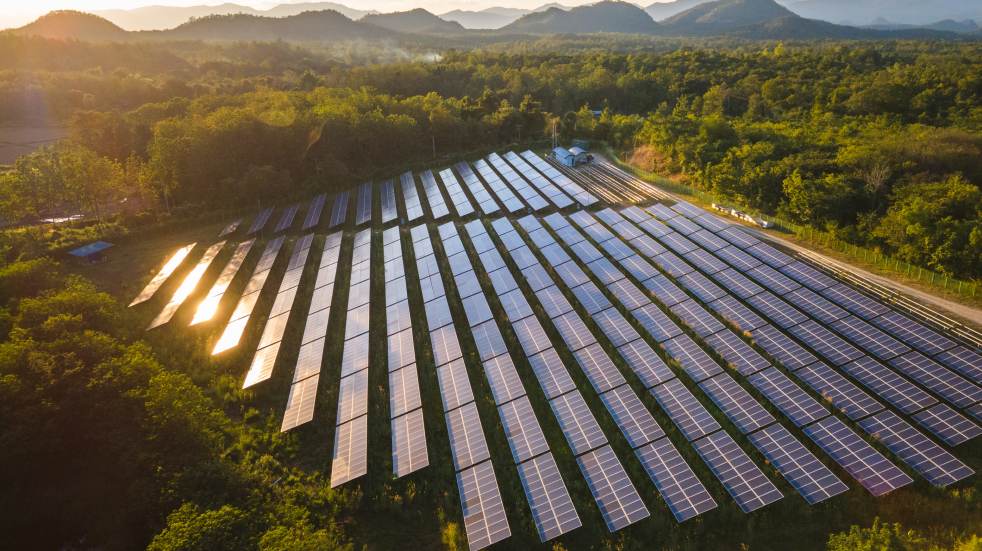 solar panels in field